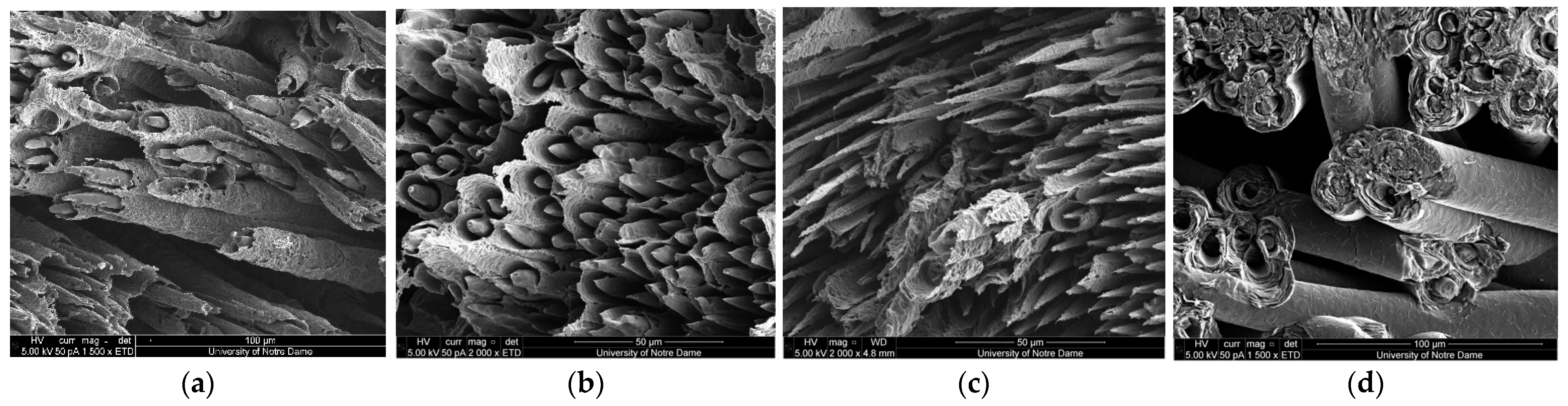 Aerospace 12 00043 g013
