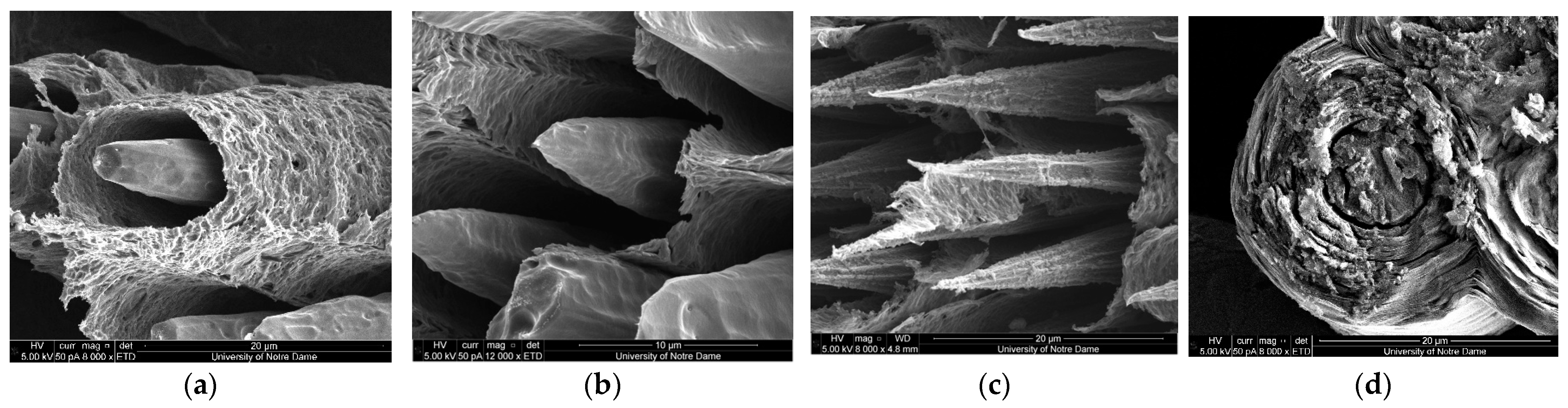 Aerospace 12 00043 g014