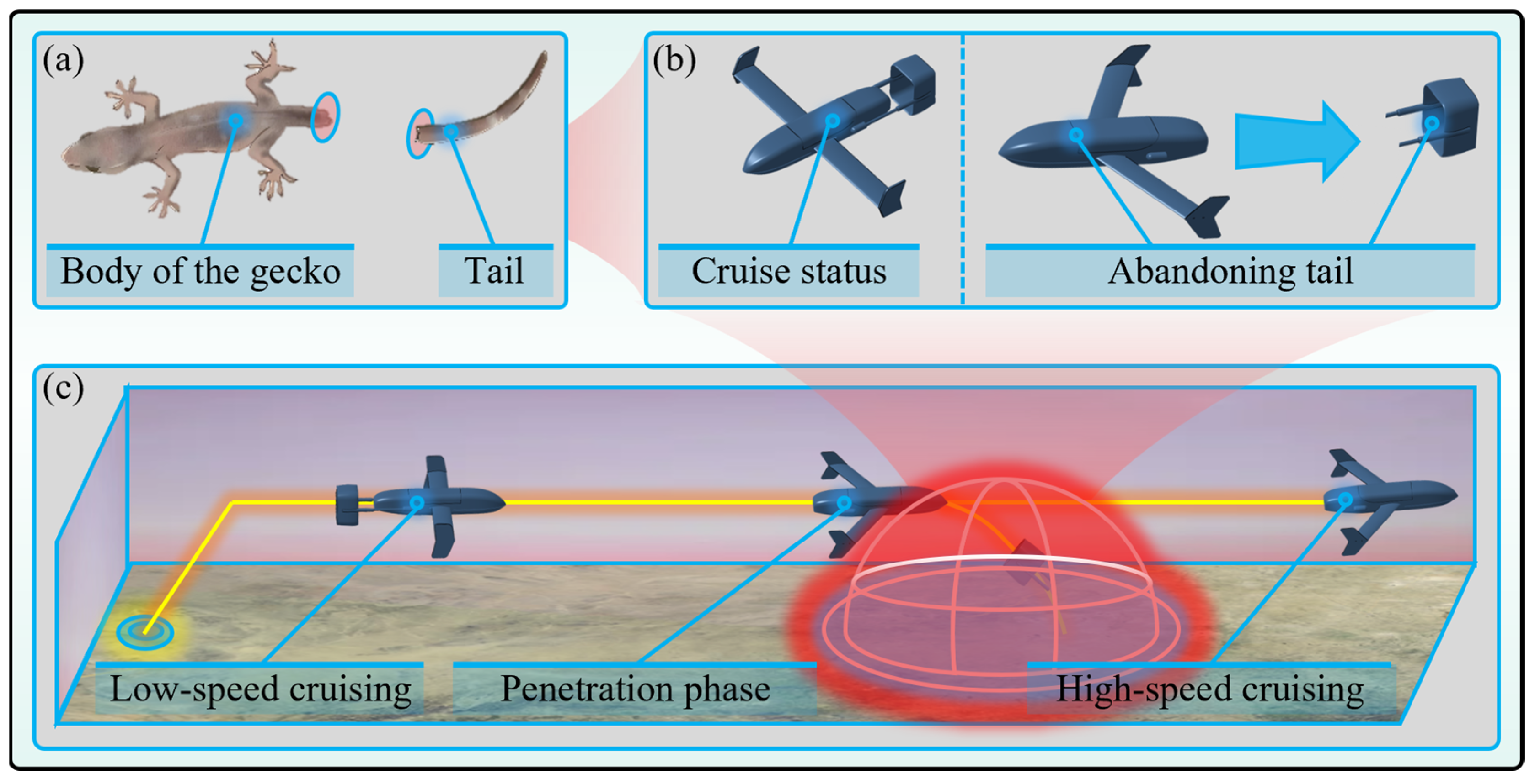 Aerospace 12 00212 g001