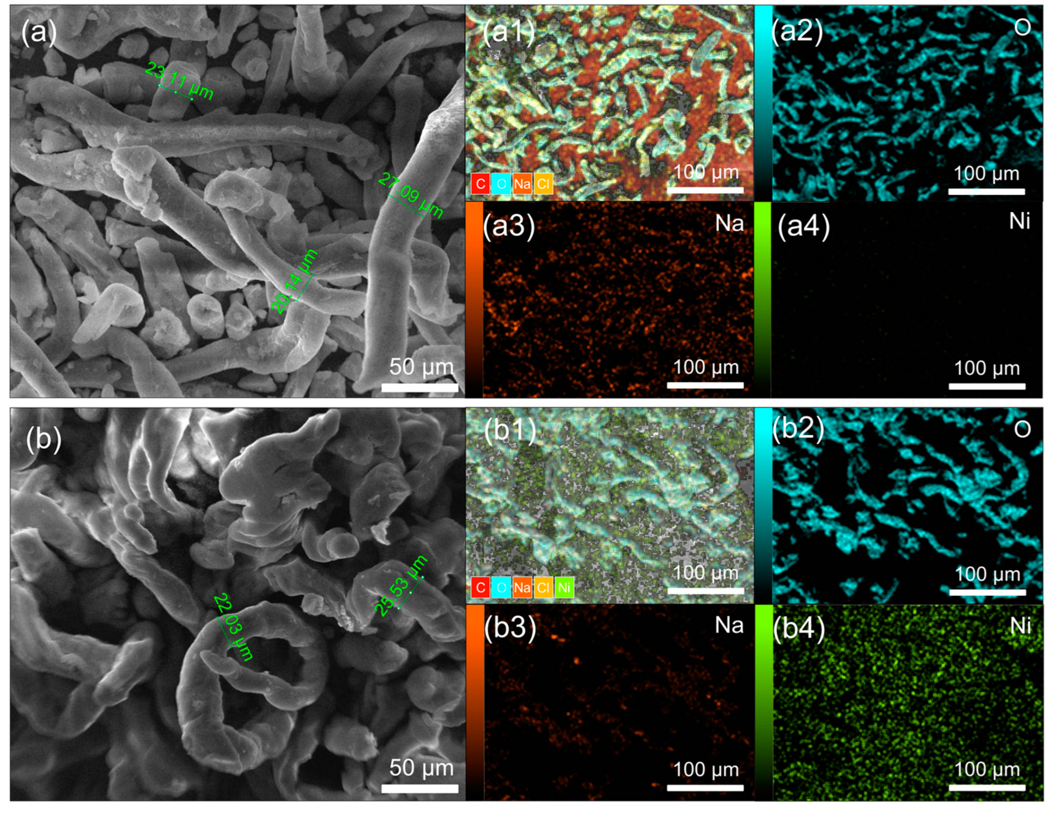 Aerospace 12 00270 g002