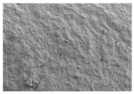 Aerospace 13 00178 i005