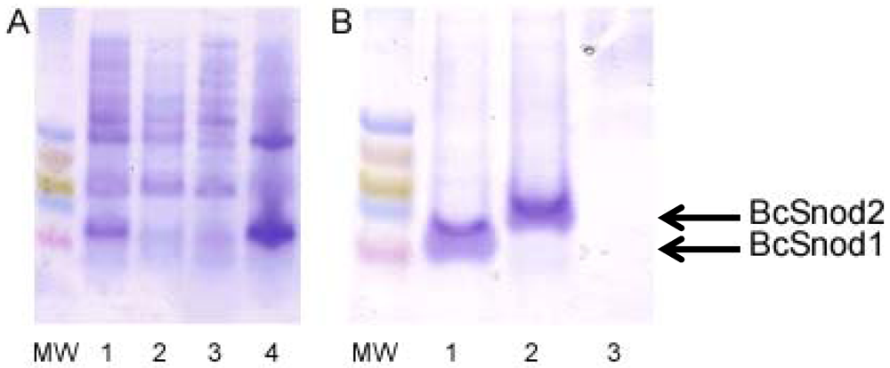 Agriculture 02 00154 g001