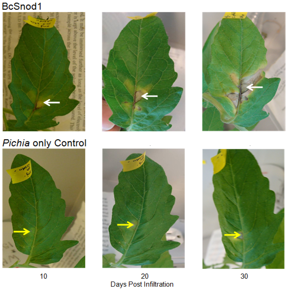 Agriculture 02 00154 g004