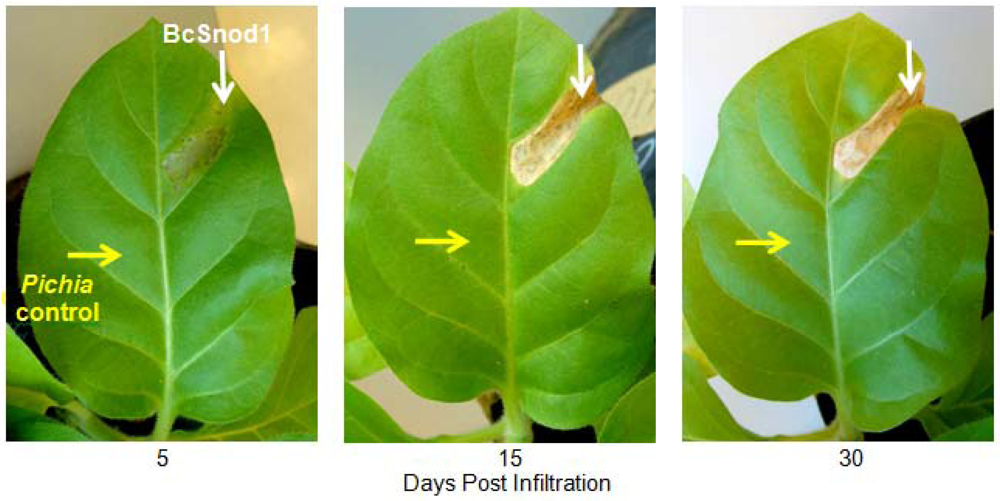 Agriculture 02 00154 g005