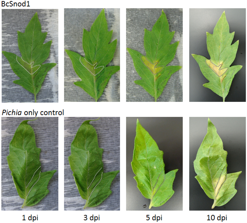 Agriculture 02 00154 g006