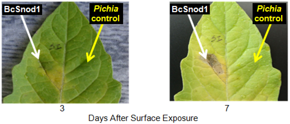 Agriculture 02 00154 g007