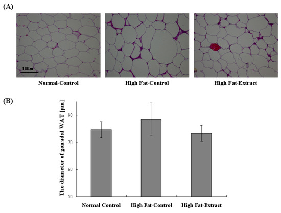 Agriculture 02 00204 g002 550