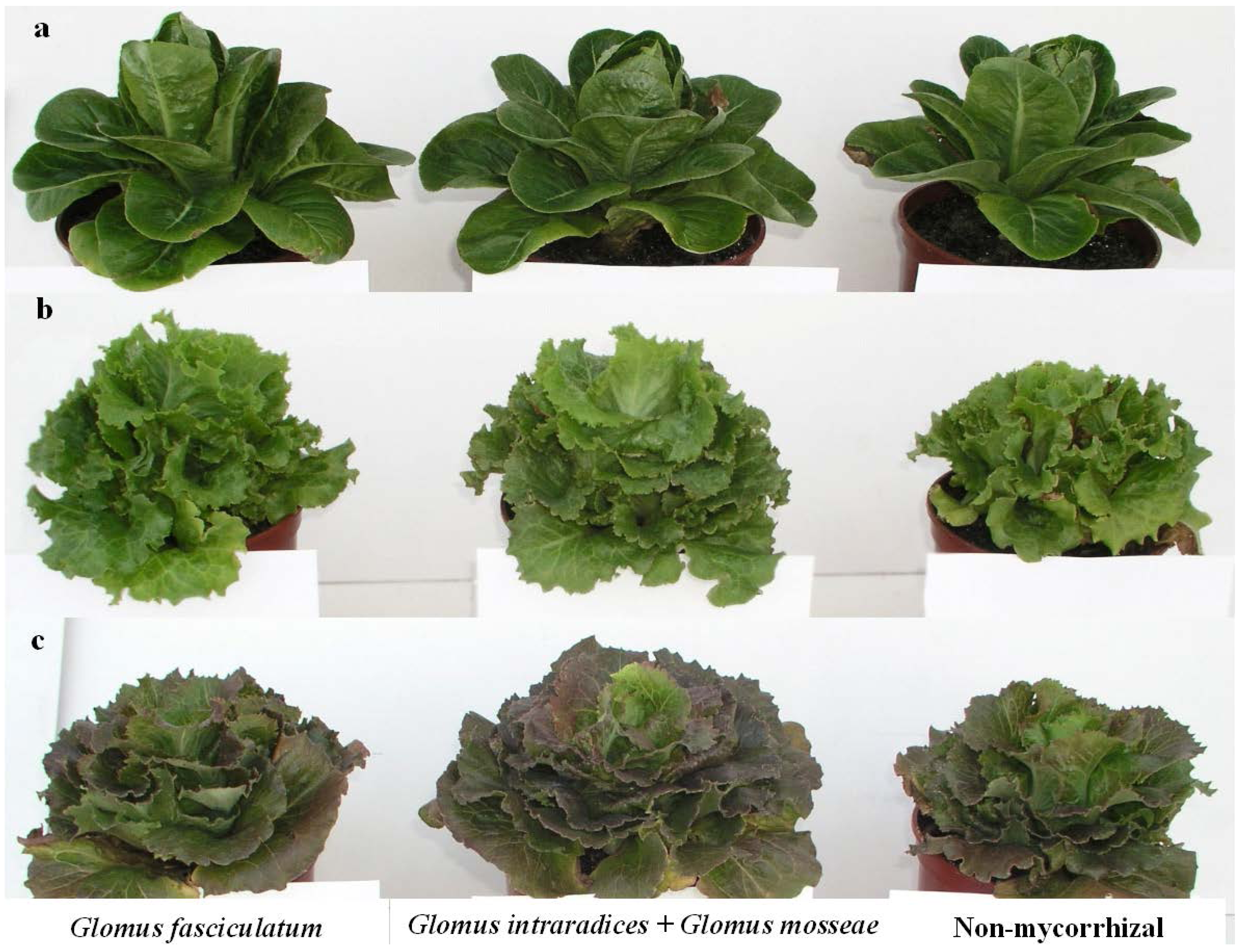 Agriculture 03 00188 g001