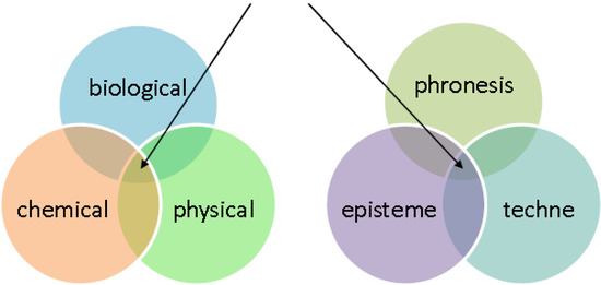 Agriculture 03 00613 g002 550