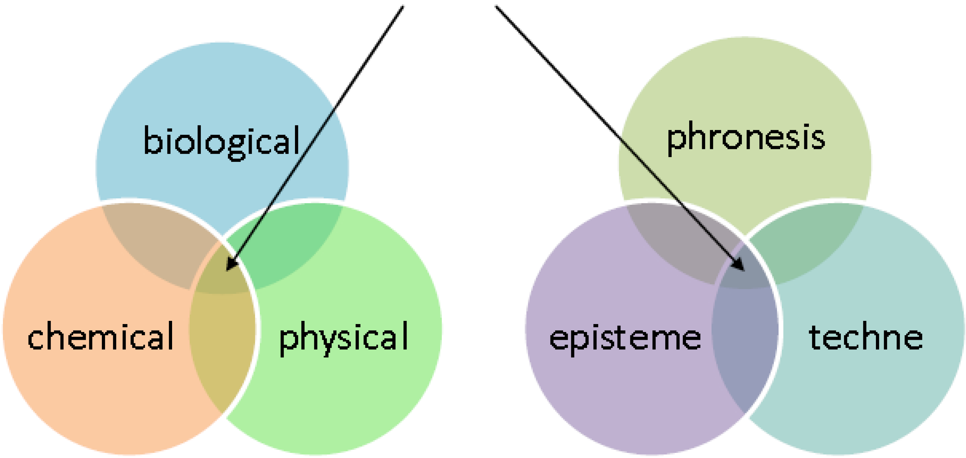 Agriculture 03 00613 g002