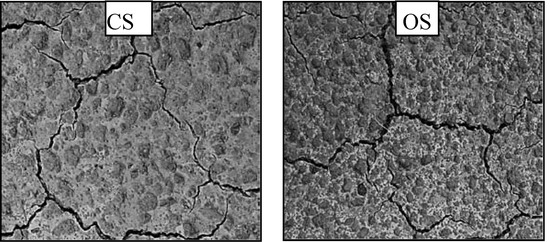 Agriculture 03 00726 g006 550