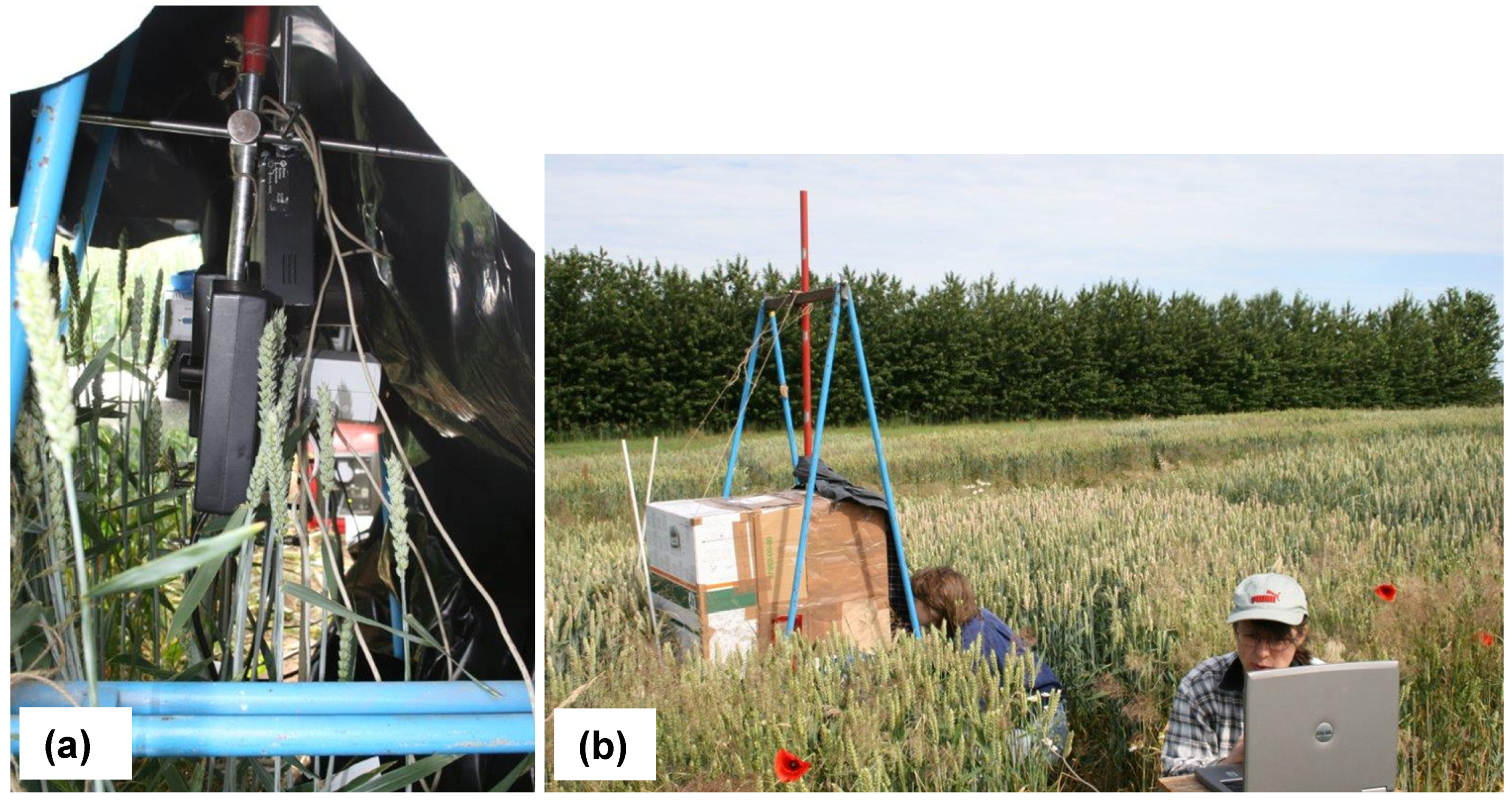 Agriculture 04 00032 g003