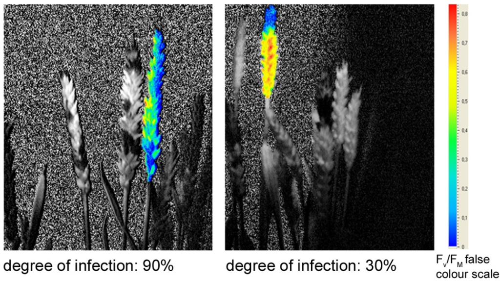 Agriculture 04 00032 g004 1024