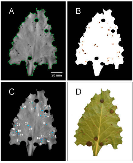 Agriculture 04 00079 g001 550
