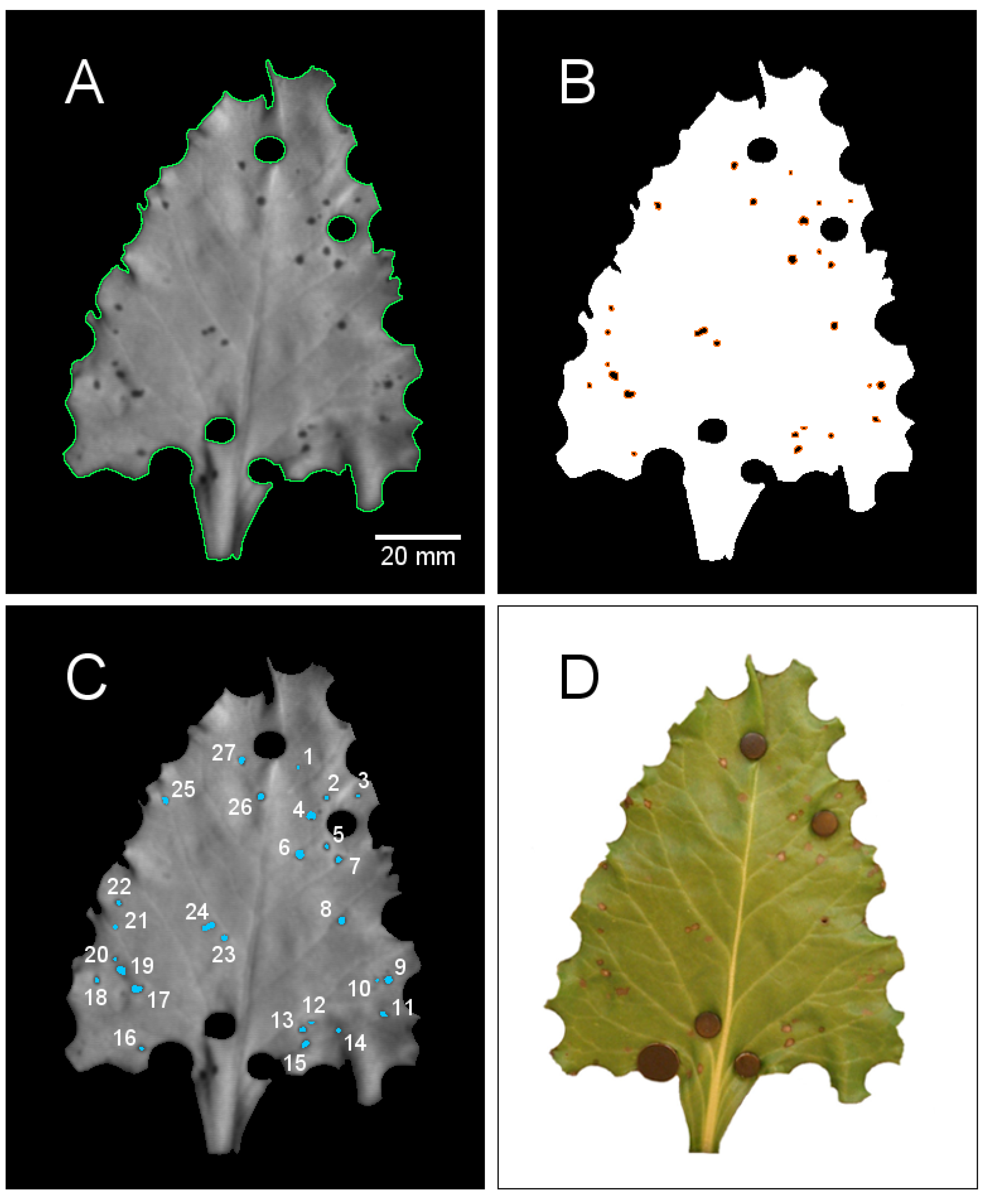 Agriculture 04 00079 g001