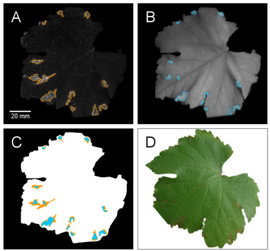 Agriculture 04 00079 g002 550