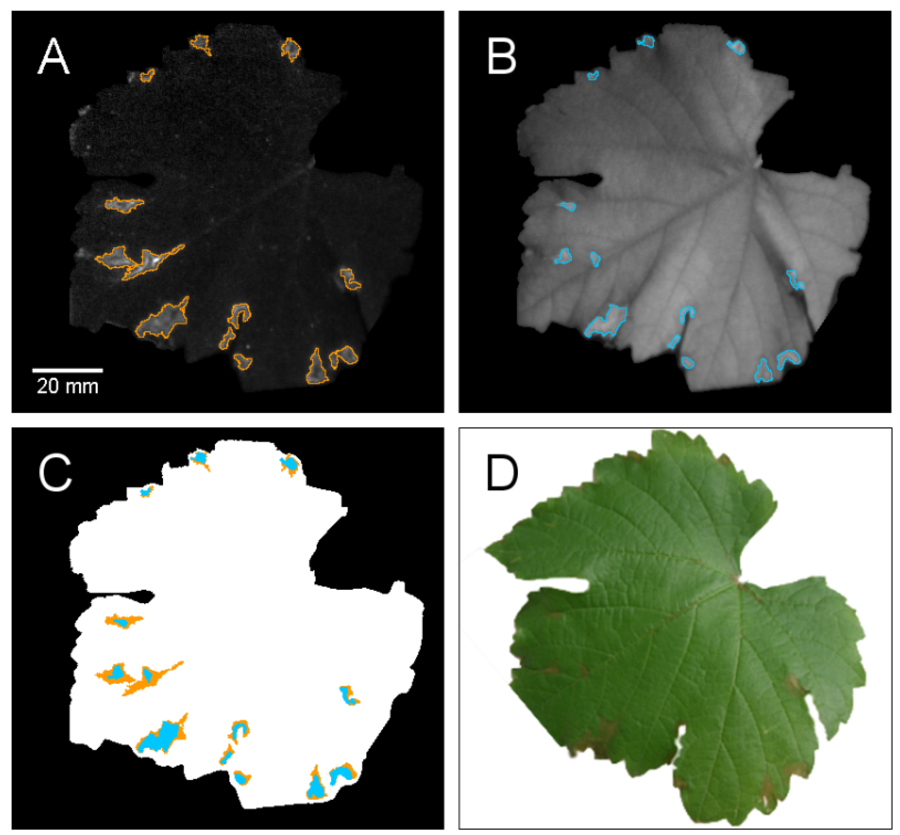 Agriculture 04 00079 g002