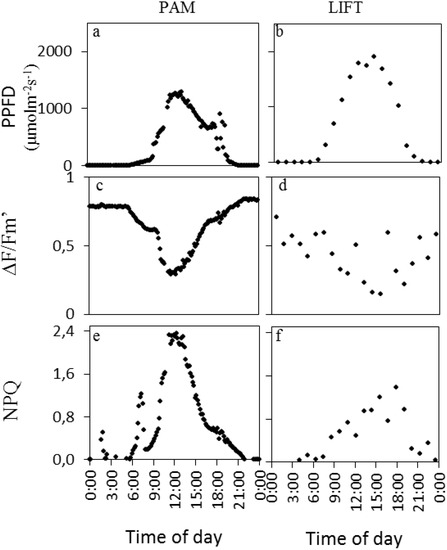 Agriculture 04 00159 g002 550