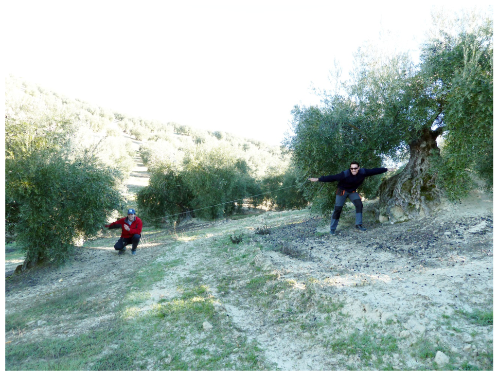 Agriculture 04 00170 g003 1024