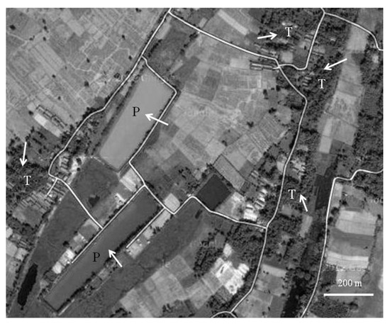 Agriculture 04 00231 g001 550