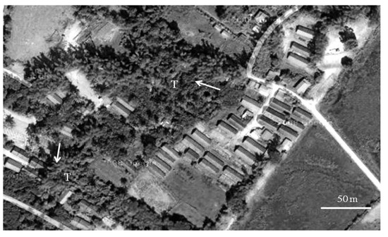 Agriculture 04 00231 g002 550