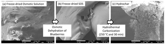 Agriculture 04 00239 g002 550