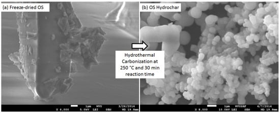 Agriculture 04 00239 g003 550