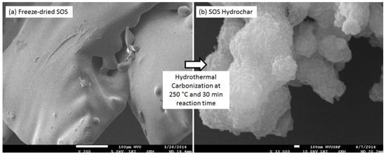 Agriculture 04 00239 g004 550