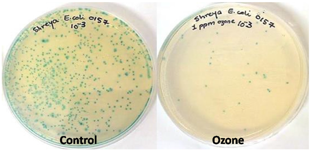 Agriculture 05 00155 g004 1024