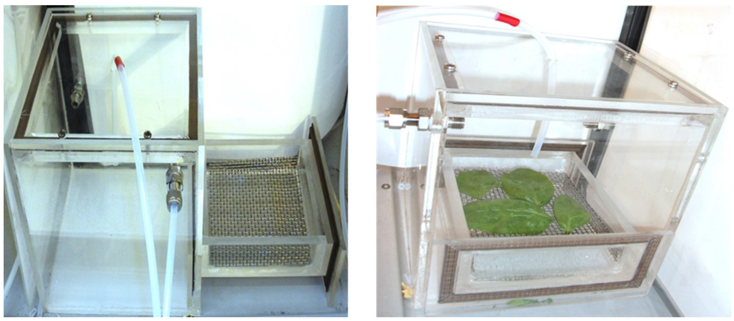 Agriculture 05 00155 g010