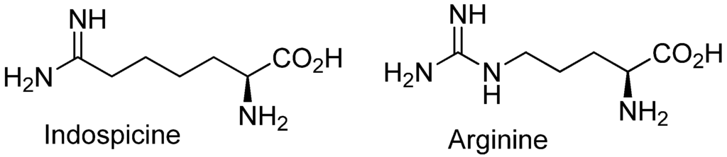 Agriculture 05 00427 g001 1024
