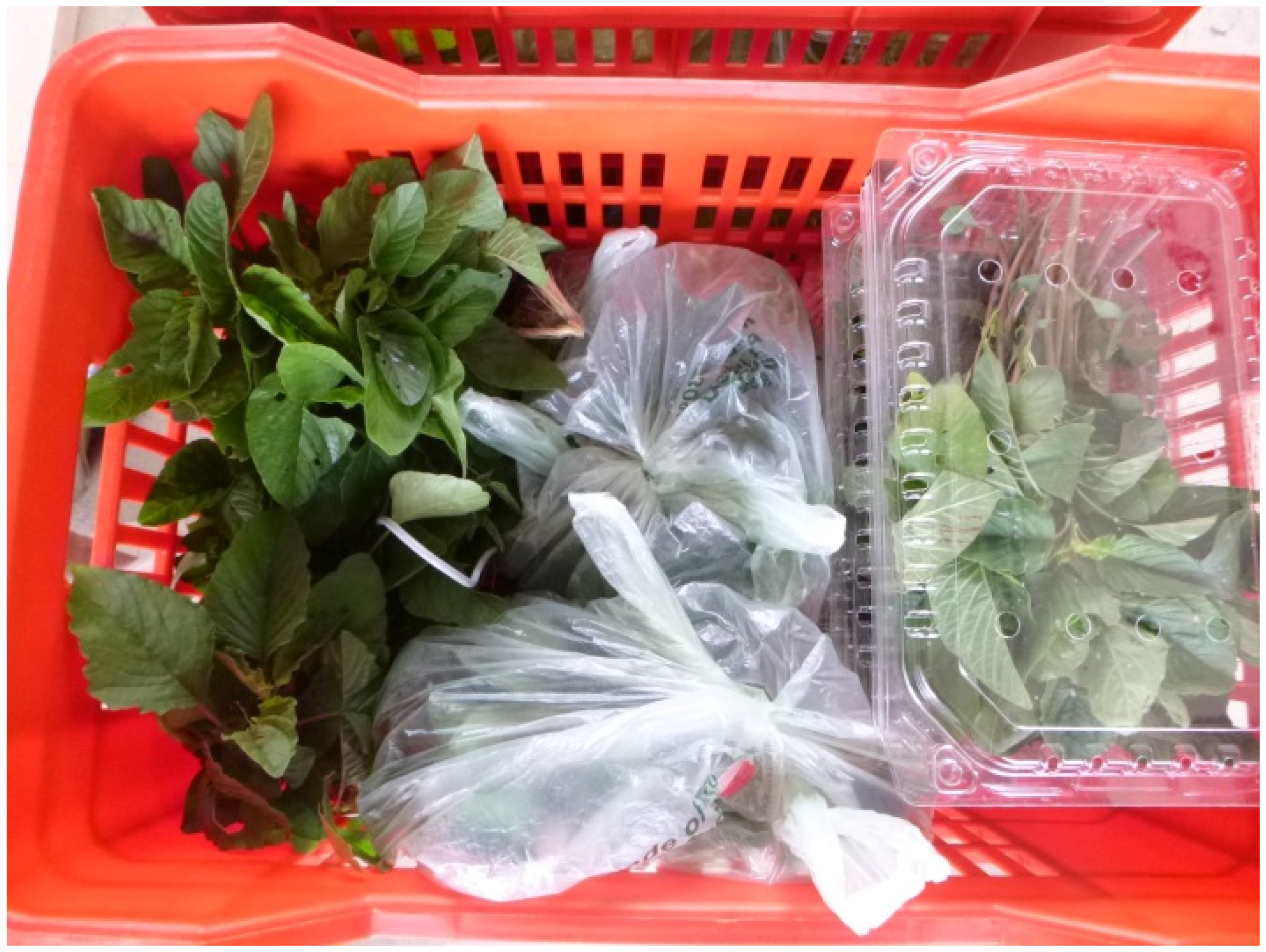 Agriculture 05 01204 g001