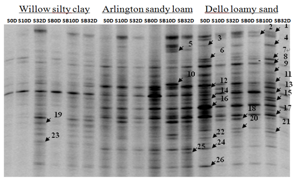 Agriculture 06 00002 g002 1024