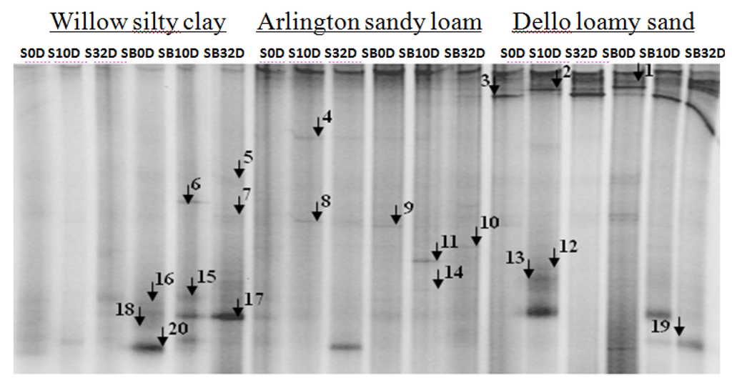 Agriculture 06 00002 g004 1024