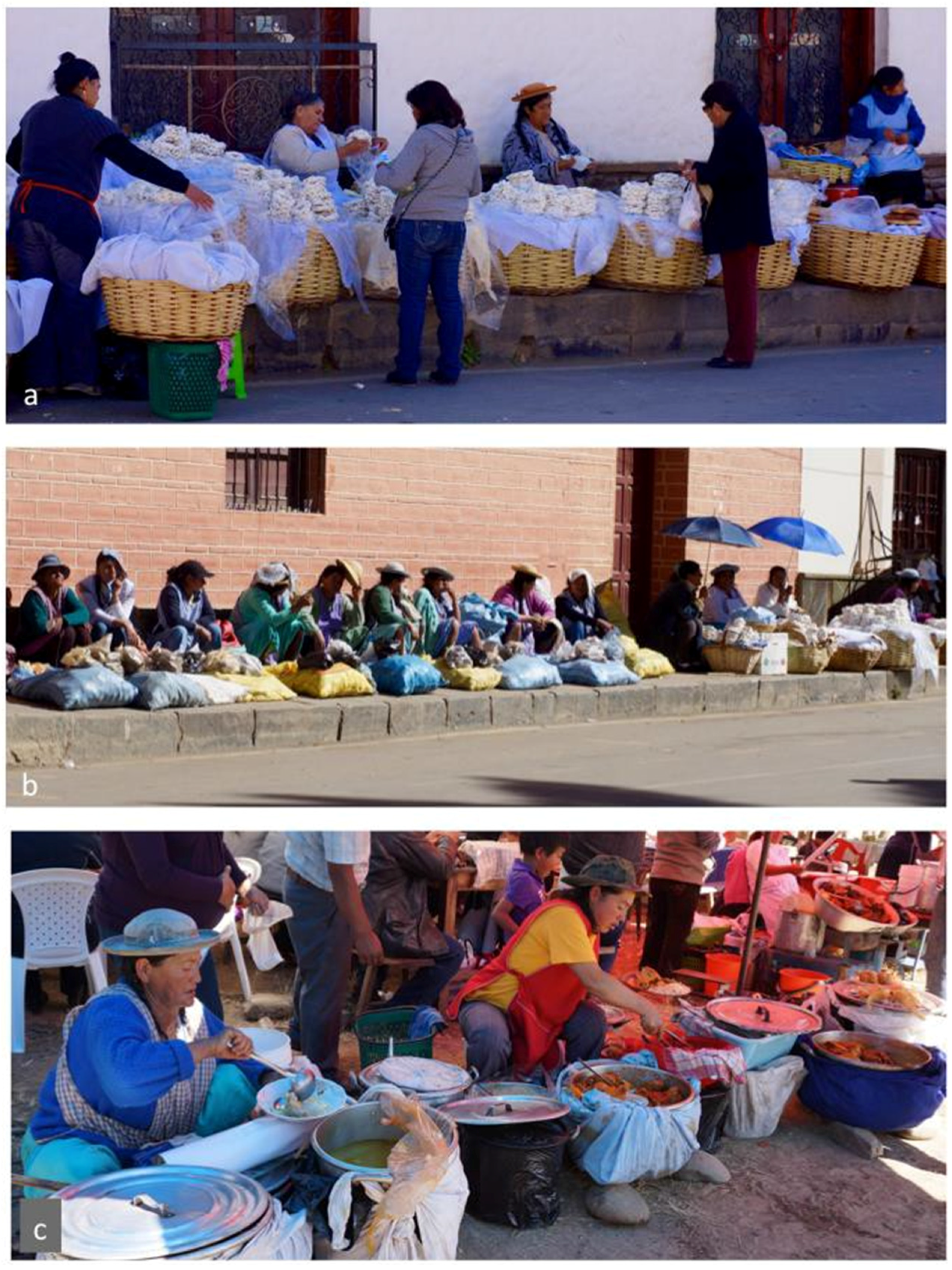 Agriculture 06 00041 g003