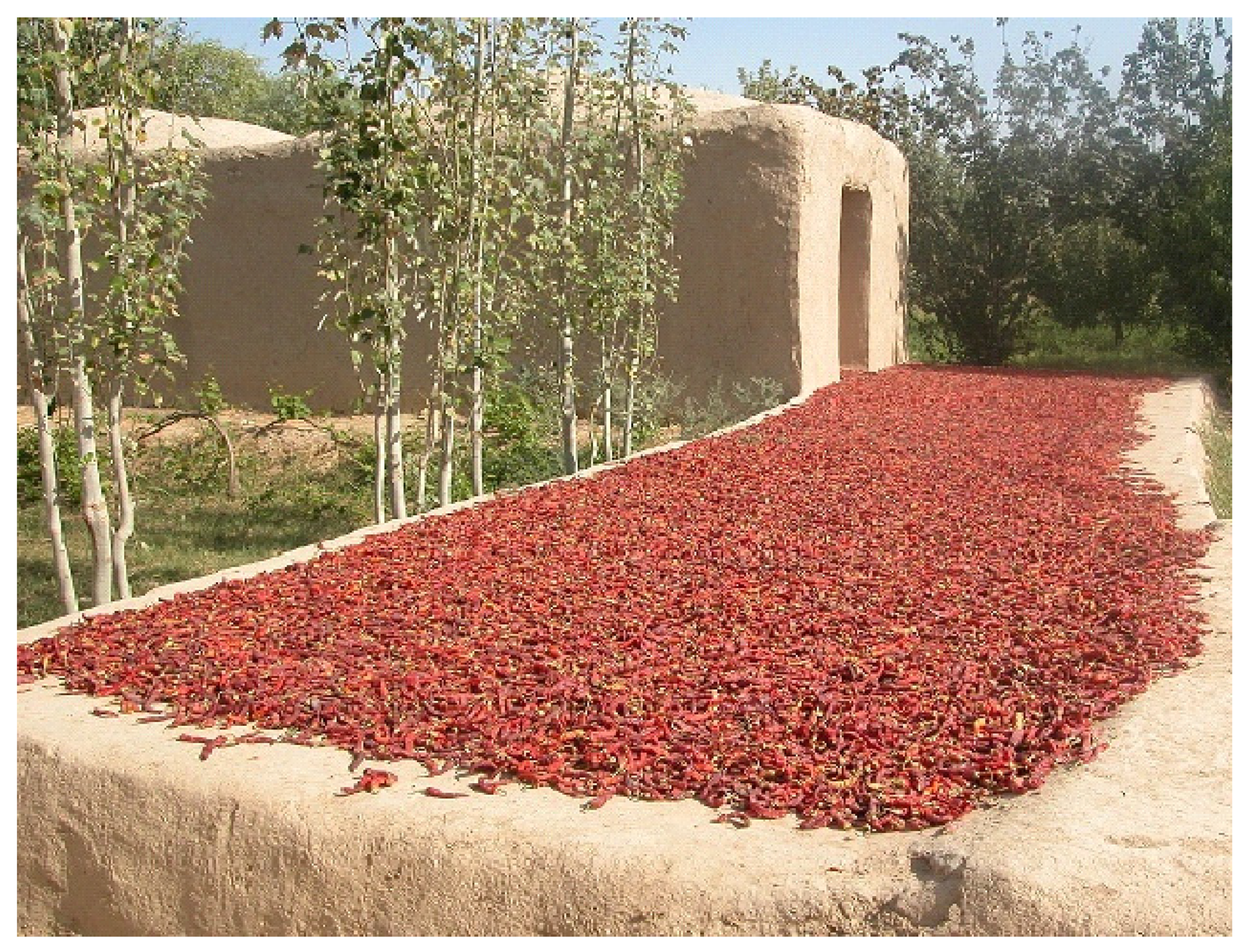 Agriculture 06 00062 g001