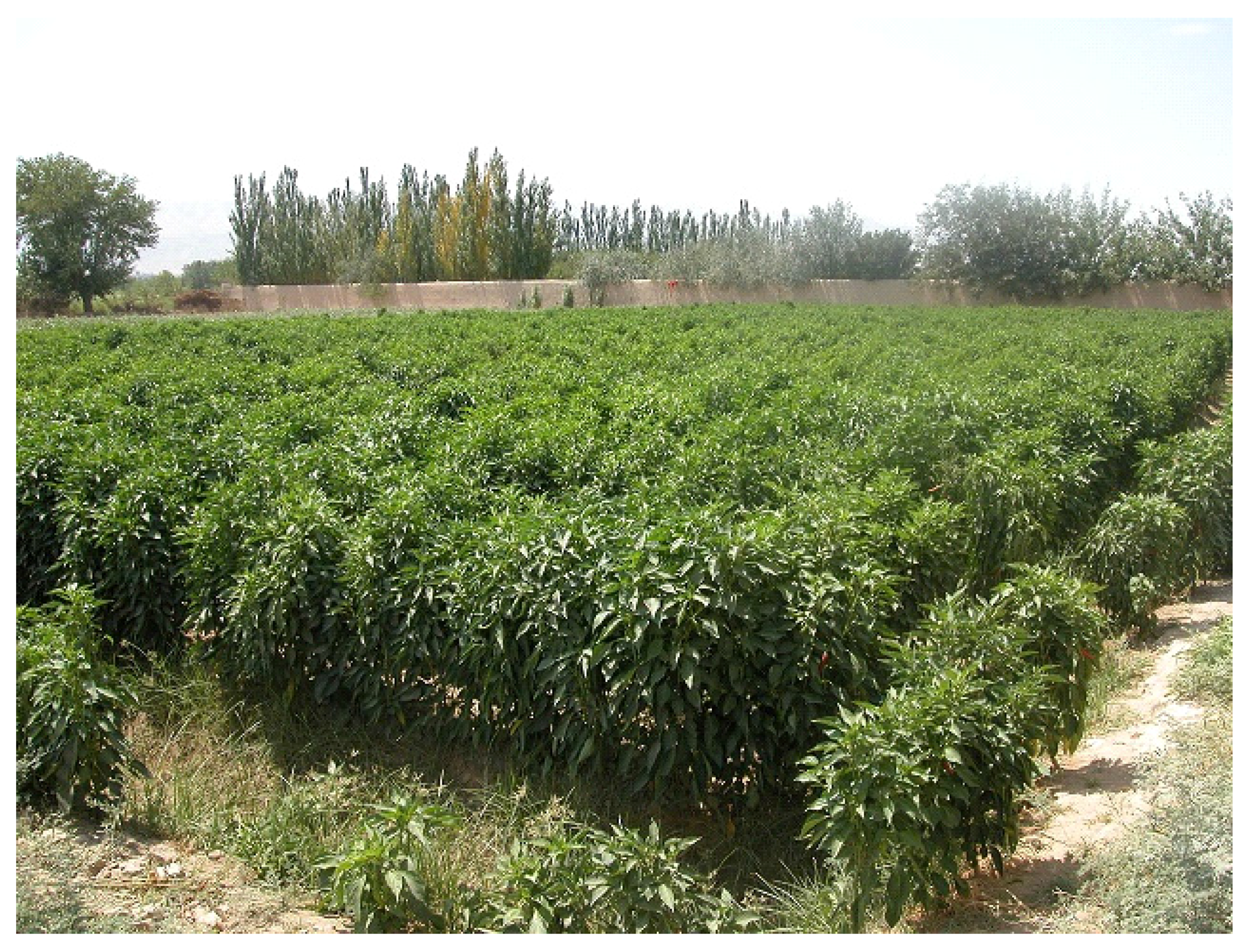 Agriculture 06 00062 g003