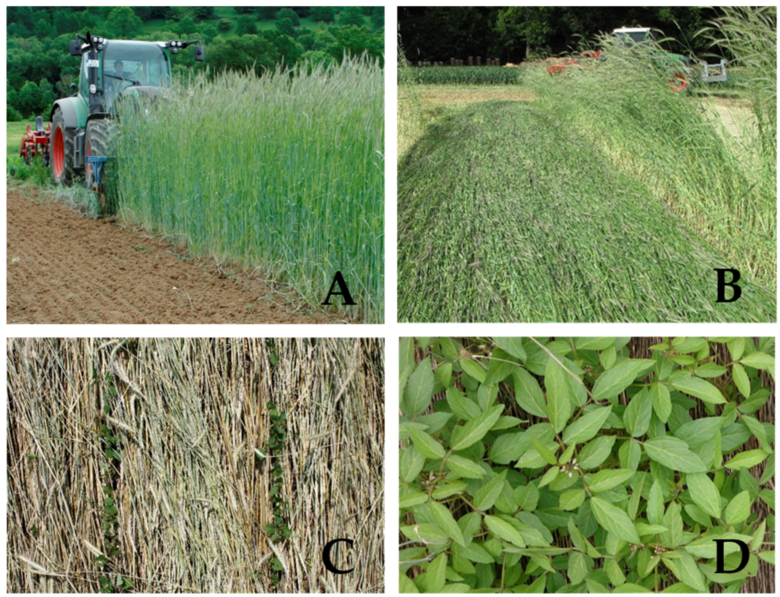 Agriculture 07 00043 g001