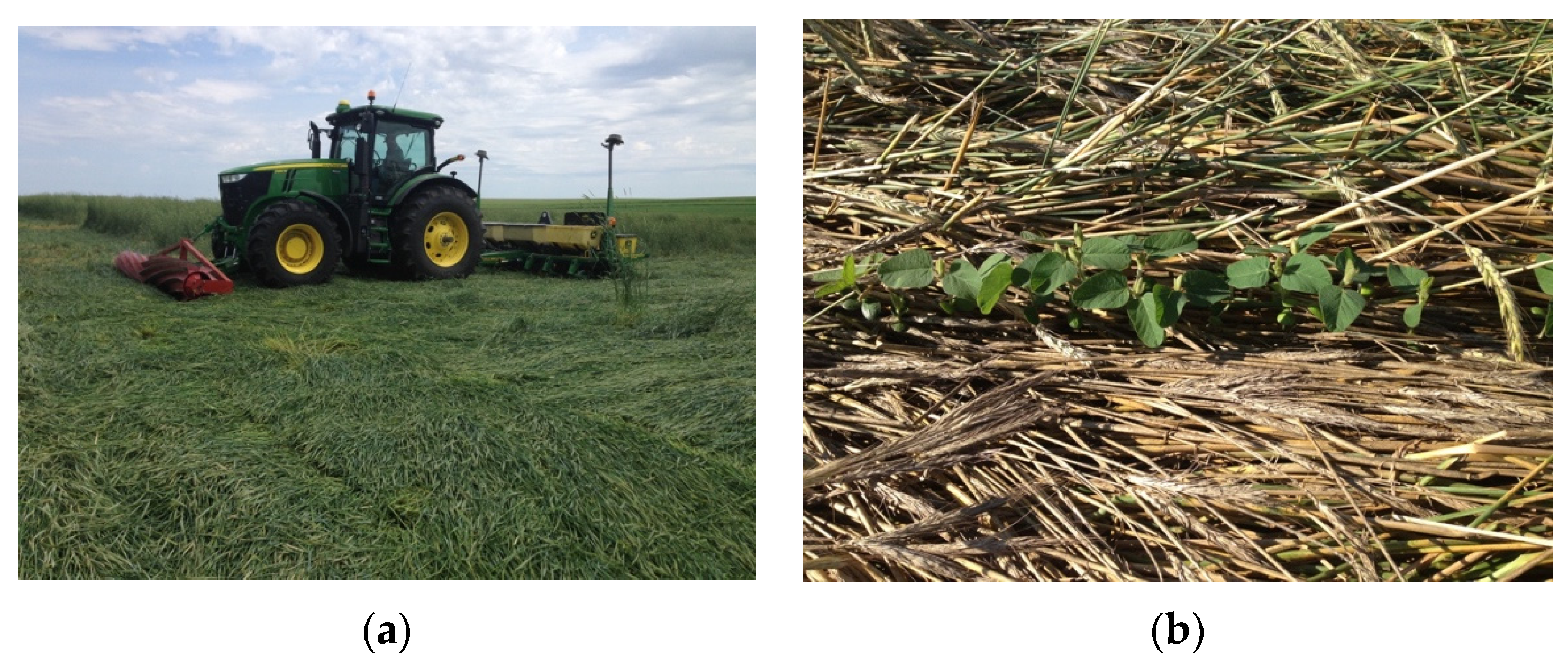 Agriculture 07 00044 g001