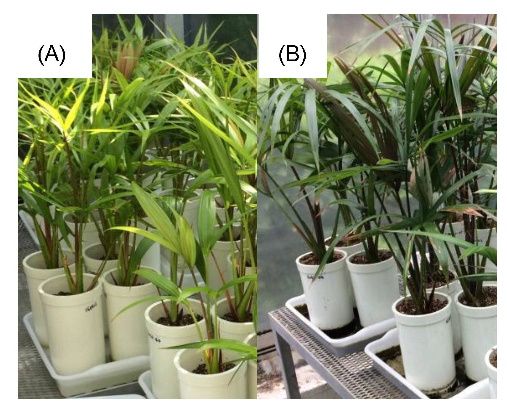 Agriculture 08 00004 g003