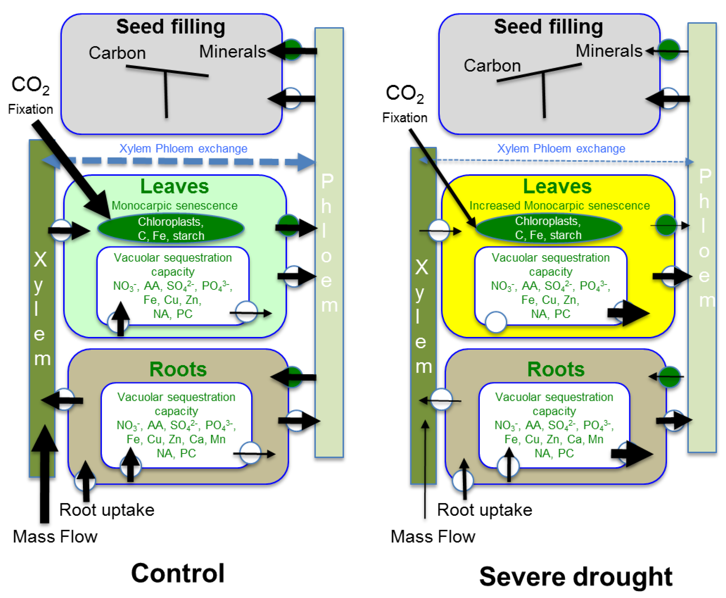 Agriculture 08 00014 g001