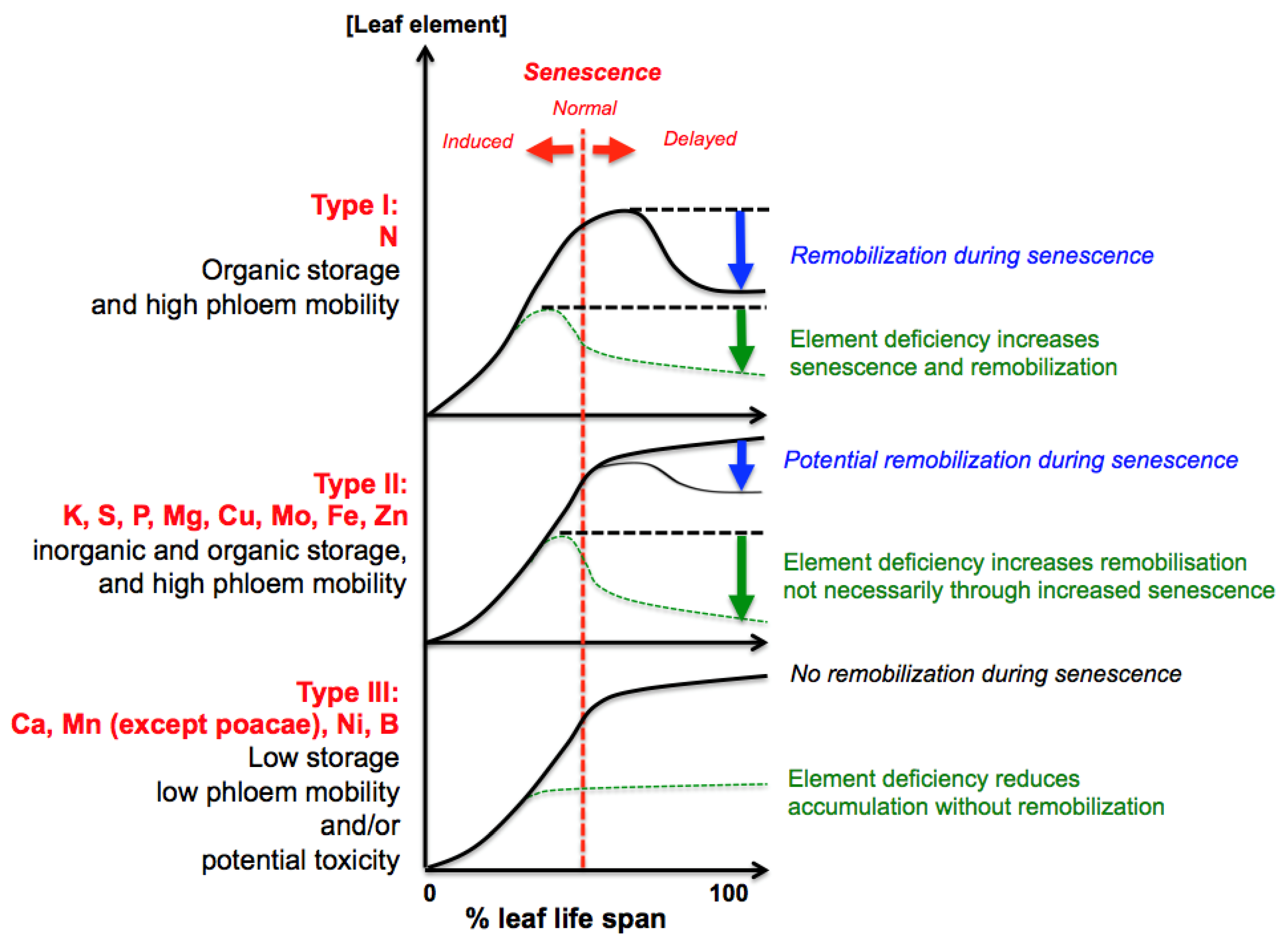 Agriculture 08 00014 g002