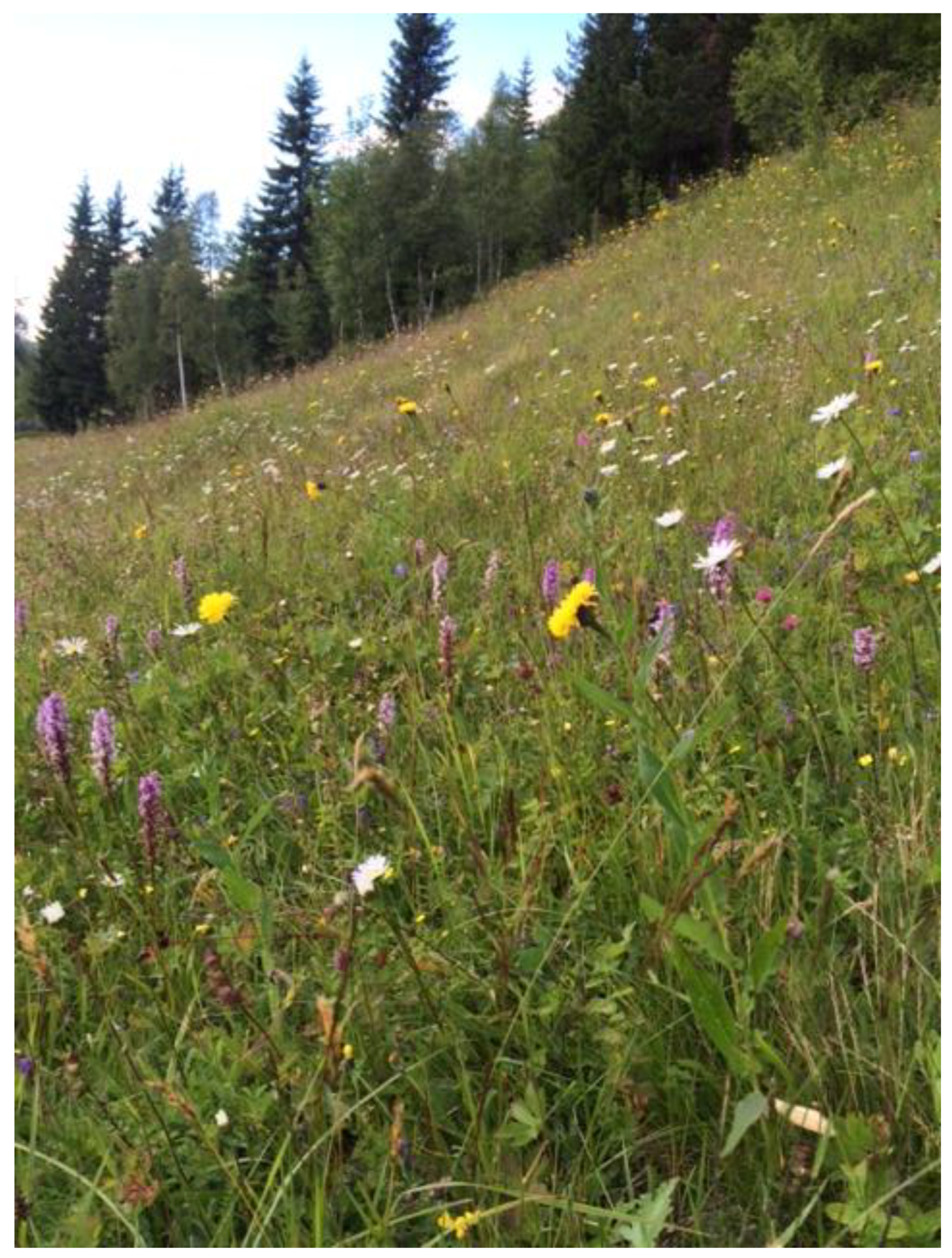 Agriculture 08 00022 g004