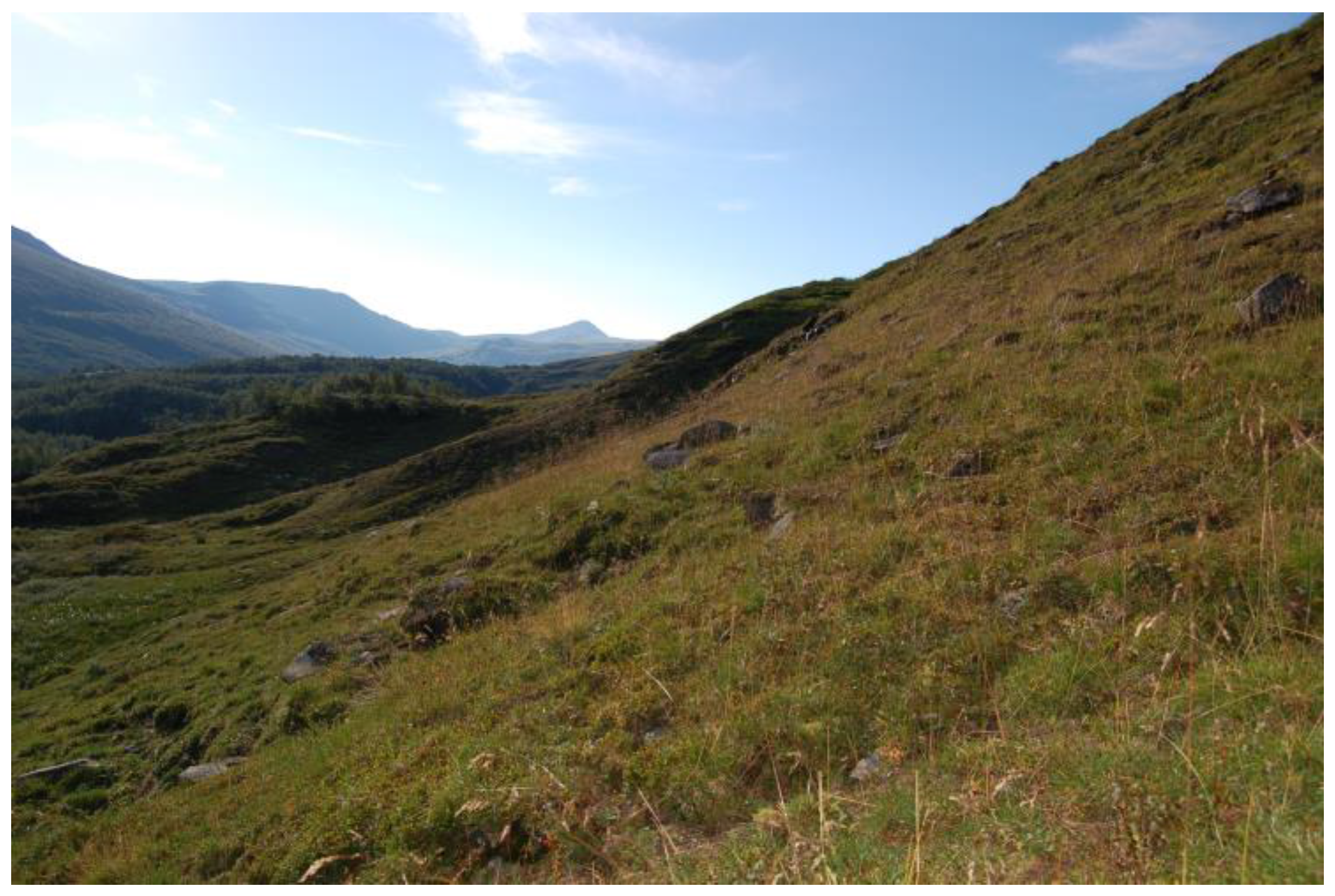 Agriculture 08 00022 g005