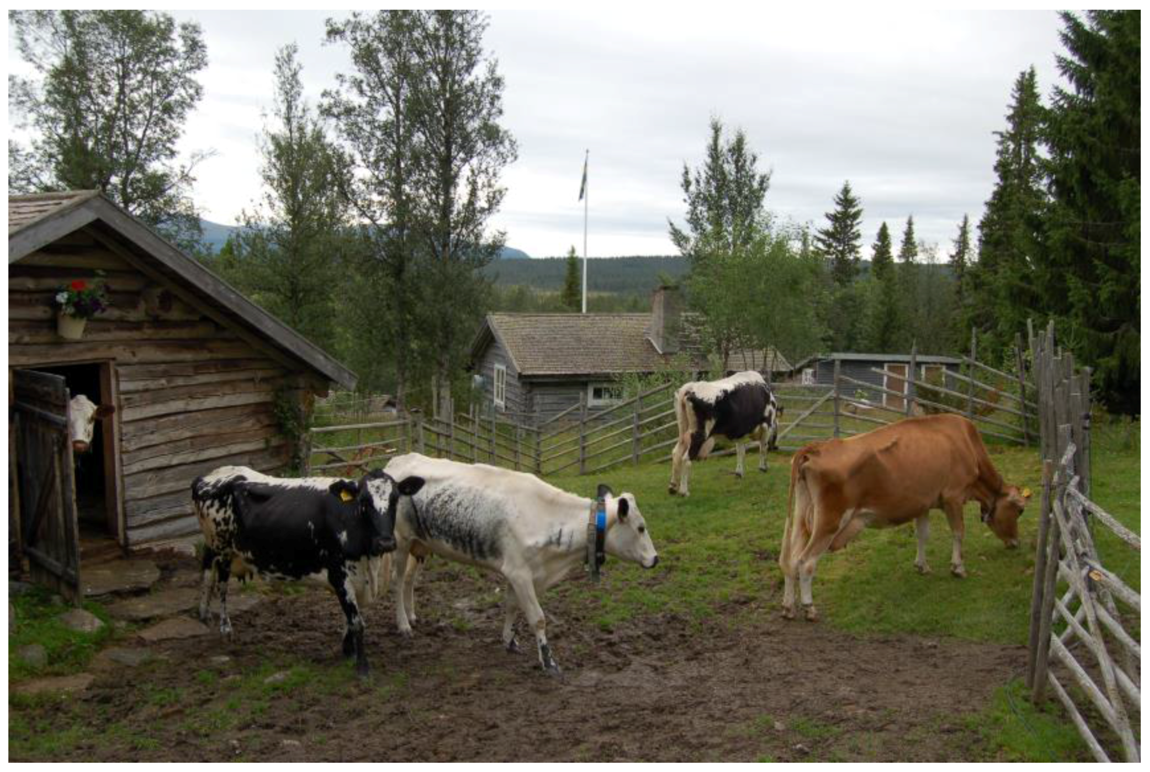 Agriculture 08 00022 g006