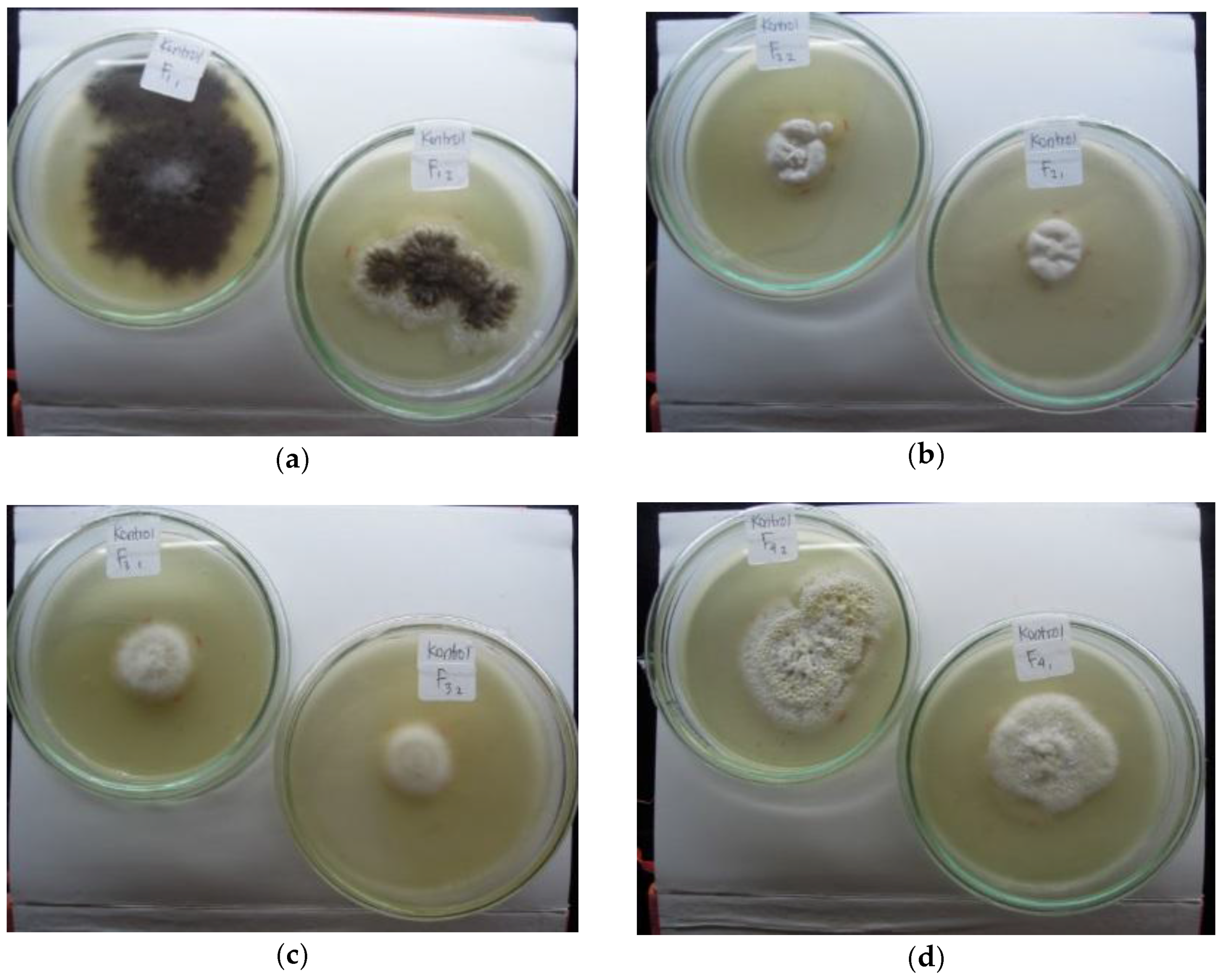 Agriculture 08 00033 g001