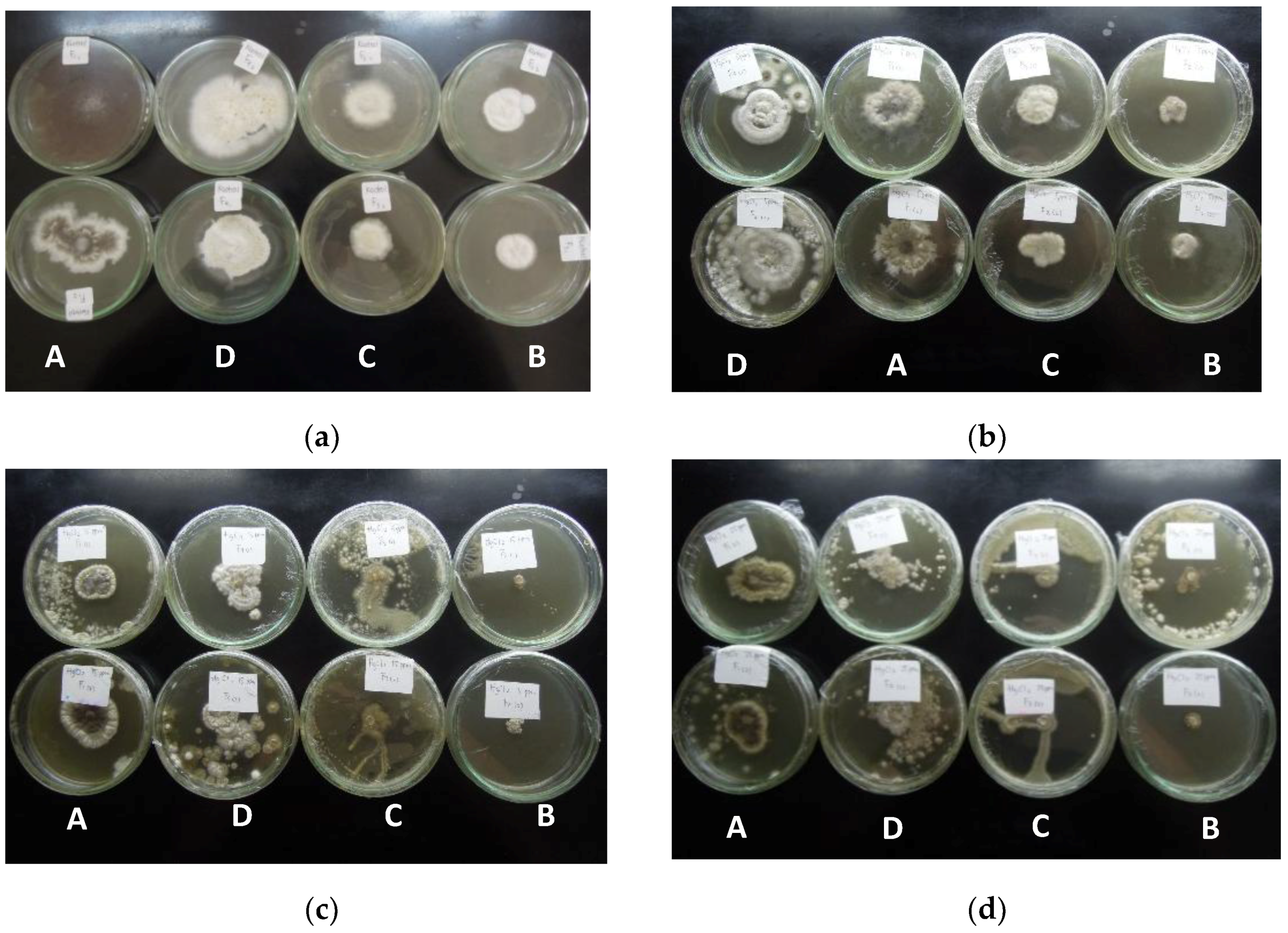 Agriculture 08 00033 g003