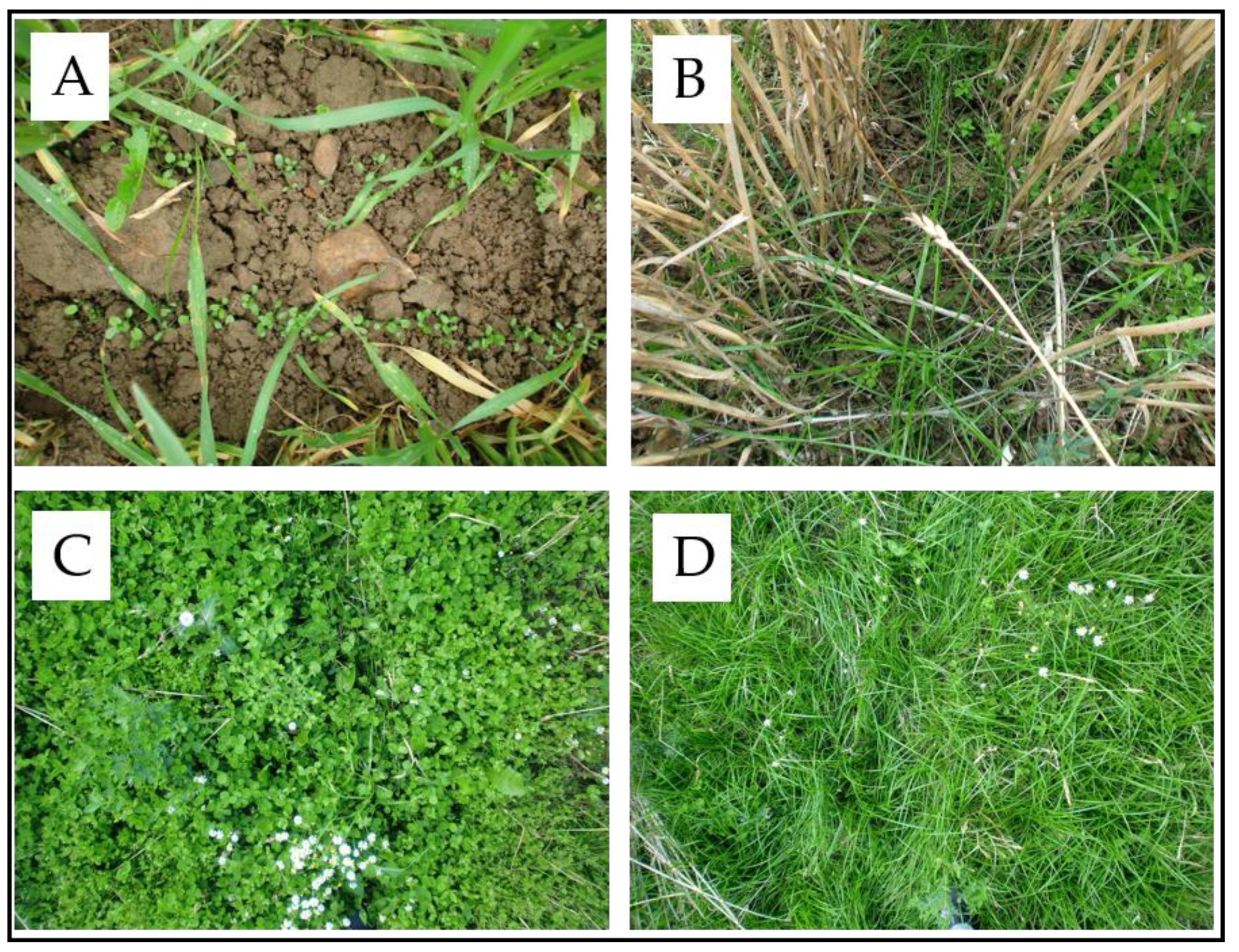 Agriculture 08 00039 g001