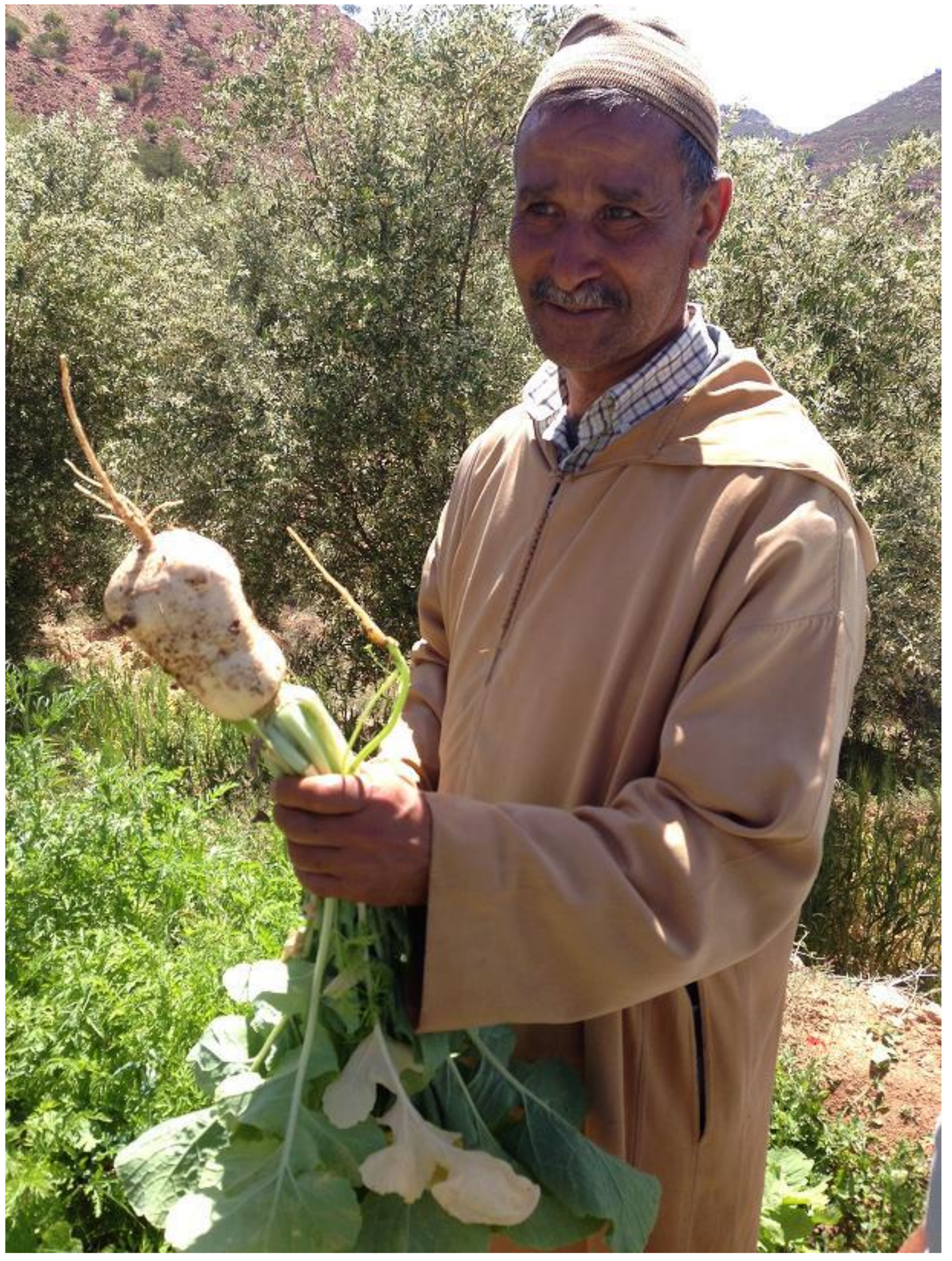 Agriculture 08 00049 g003