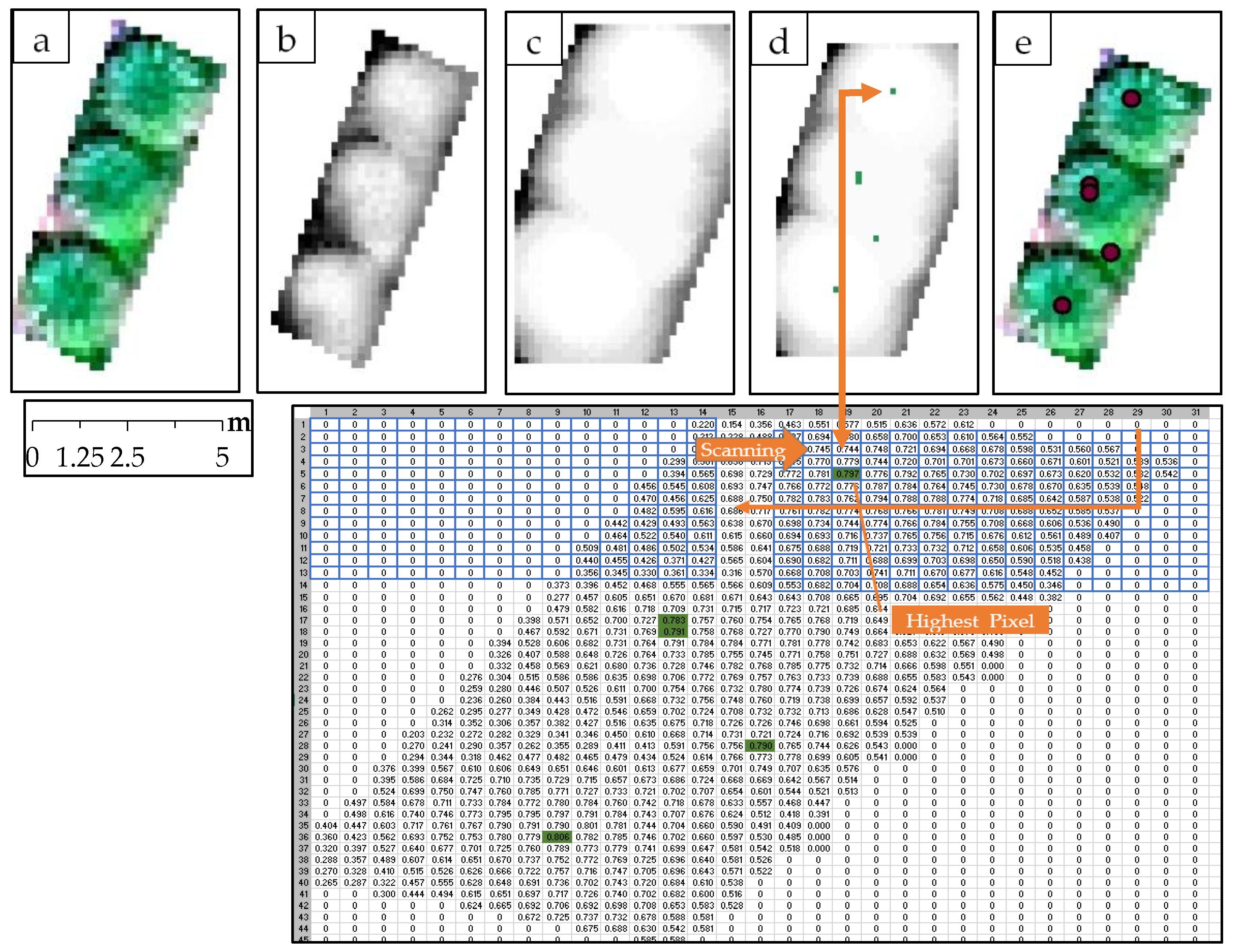 Agriculture 08 00064 g003